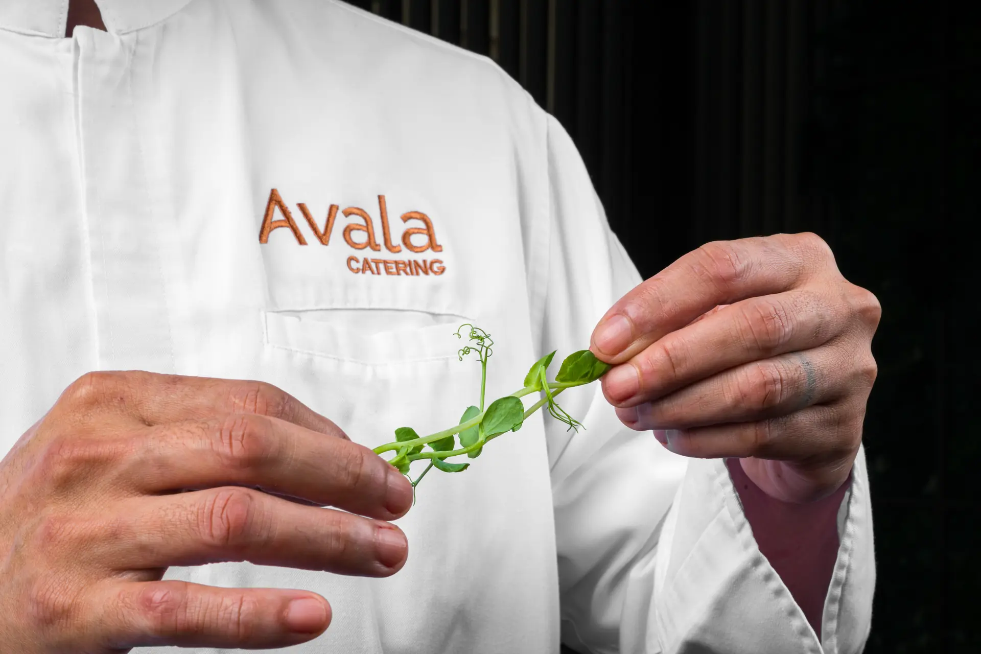 Global & Large-Scale Event Catering